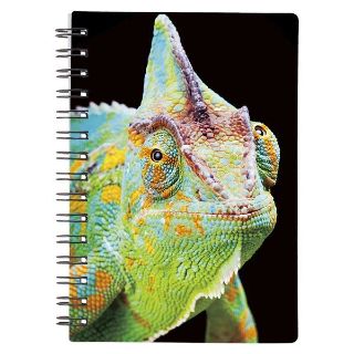 Obrázek z Notes 3D 9x13cm - chameleon 